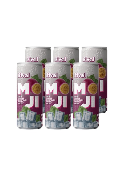 Rival Moji Limon, Nane Ve Çarkıfelek Meyvesi Aromalı Gazlı İçecek 250 Ml 6'lı