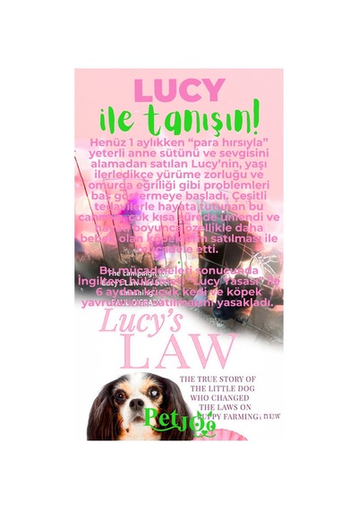 Petjoo 11.Lucy Yeşil-Pembe Qr'lı Köpek Künyesi