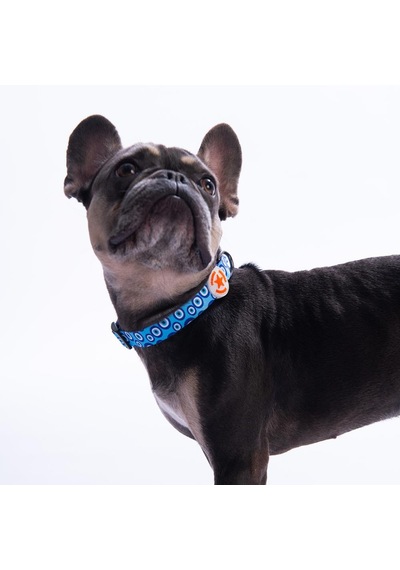 Charm Nazar Boncuğu Desenli Köpek Boyun Tasması Ayarlanabilir Köpek Tasması S Mavi