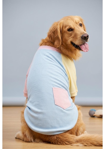 Bubbles Pastel Orta Ve Büyük Irk Köpek Tişörtü Lacivert Kırmızı Yazlık Köpek Kıyafeti