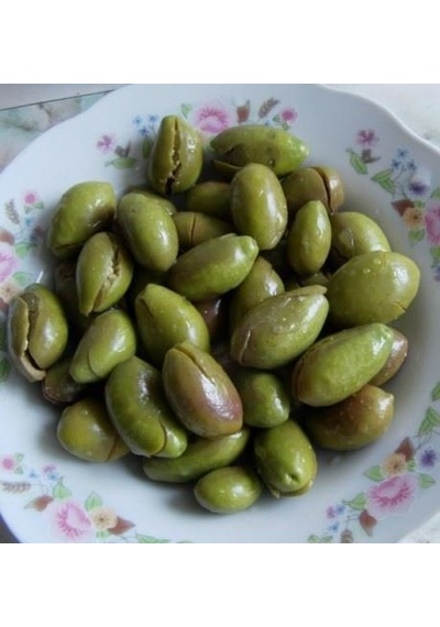 Tüplü Aşılı İri Taneli Kırmalık Çekişte Zeytin Fidanı