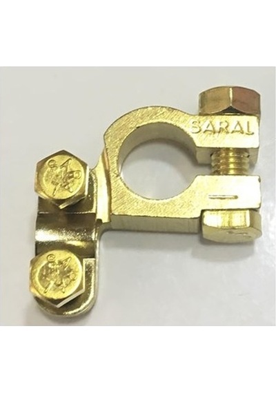 Saral Kutup Başı - N11.16050