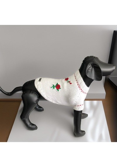 Köpek İçin Güllü Beyaz Kazak