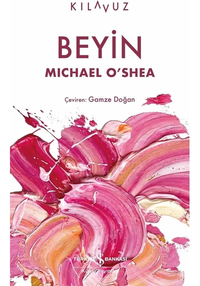 Beyin - Kılavuz