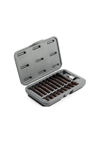 Rico 005-kk0003 Kaplamalı Delikli Torx Bits Seti Takımı 19 Parça