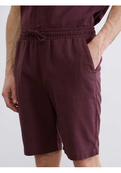 Lcw Vision Mürdüm Regular Fit Erkek Şort