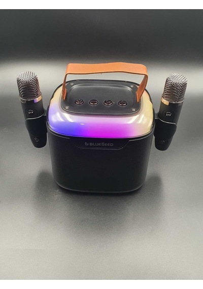 Bs-601 Bluetooth Wıreless Speaker & Karaoke Mıcrophones 13w - Siyah