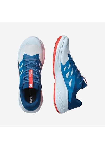 Salomon Alphaglıde Erkek Ayakkabısı L47724300 Çok Renkli
