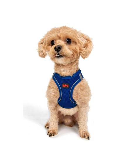 Tailpetz Air-mesh Küçük Ve Orta Irk Kedi Köpek Göğüs Tasması - Yumuşak, Nefes Alabilir, Dayanıklı Saks, 2xs Sku: Zeusb0b825trk1 Açık Bej - Bej