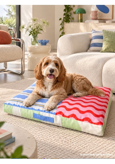 Modern Desenli Kedi Ve Köpek Yatağı 80x60 Cm Yıkanabilir Kılıflı Rıo Henüz