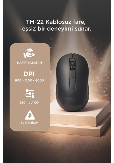 Kablosuz Mouse Usb Alıcılı Fare Tm22 Siyah -