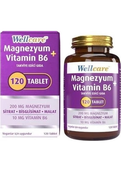 Wellcare Magnezyum + Vitamin B6 120 Tablet