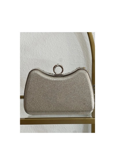 Linalya Jewelry Gold & Gümüş Detaylı Abiye Model Çanta Çok Renkli