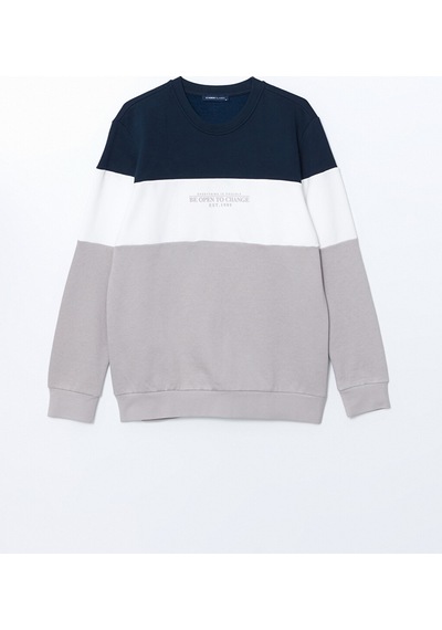 Lcwaıkıkı Classic Bej Bisiklet Yaka Uzun Kollu Renk Bloklu Erkek Sweatshirt