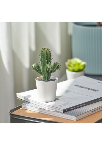 Tr Yapay Bitki, Yeşil, 6 Cm, Kaktüs, İç/dış Mekan Diğer