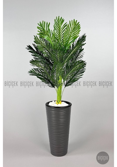 Biçiçek Areka Ağaci 150 Cm Antresi̇t Kumsal Saksıda Tek Gövdeli̇