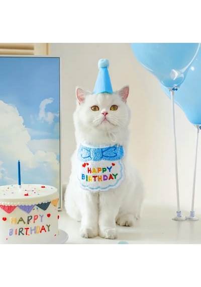 Kedi Ve Köpek İçin Şapka Ve Önlüklü Doğum Günü Kutlama Kostümü