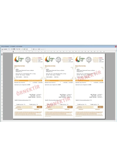 Demirsoft Ön Muhasebe Programı (466222612)
