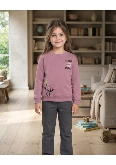 Roya Kız Çocuk Pembe Baskılı Sweatshirt Kışlık Rahat Kesim
