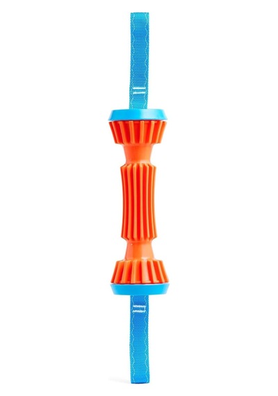 Rugged Bumper Ekstra Dayanıklı Köpek Oyuncağı Küçük Boy