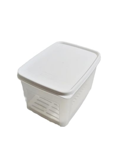 Geseus Moonstar Süzgeçli Peynir Saklama Kabı 2 Lt X 2adet Bpa Free-ms06 Diğer