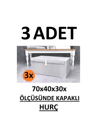 Daglus 3 Adet Kapaklı Kutu Hurç Mega Boy 70 40 30 Çok Amaçlı Kutu Hurç