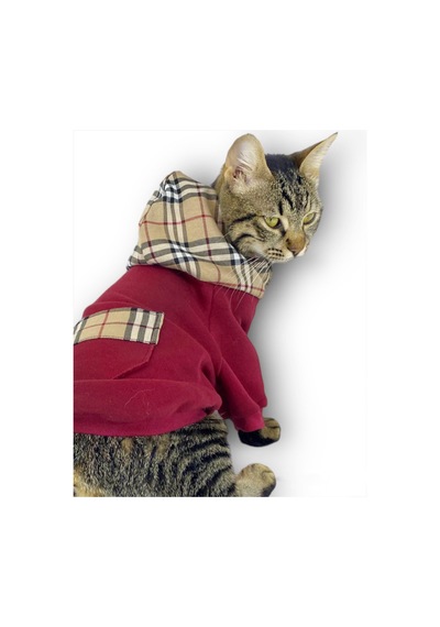Kemique Bb Limited Duo Kapşonlu Kedi Sweatshirt