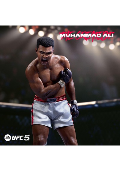 Electronic Arts Ufc 5 Standard Edition Ps5 Oyun 5 Sku: Smgstk94d0ab34a6