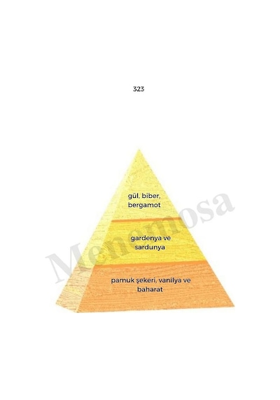 Bargello Ask6 + 323 Erkek/kadın Parfüm EDP 50 ML Fresh/oriental - Mnms50ask6 Baharat