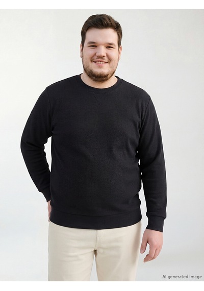 Lcwaıkıkı Classic Antrasit Bisiklet Yaka Erkek Sweatshirt
