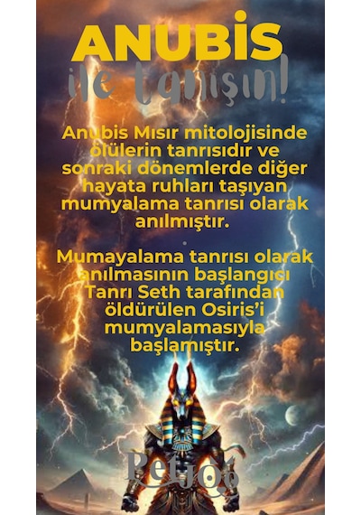 Petjoo 30.Anubis Gri-Sarı Qr'lı Köpek Künyesi