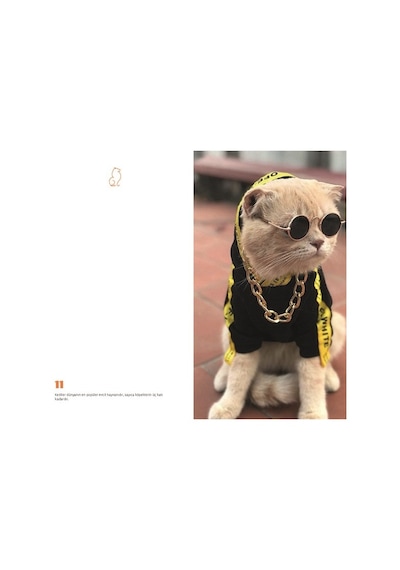 Kedi Dünyası Journal Düz