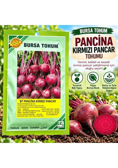 Bt Pancina Kırmızı Pancar Tohumu 25 Gr