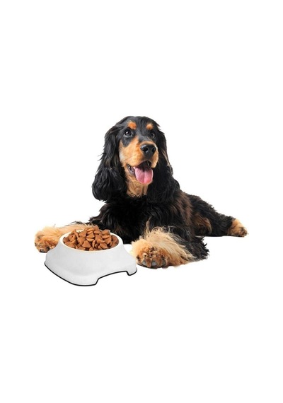 Silikon Kaydırmaz Taban Plastik Kedi Ve Köpek Mama Ve Su Kabı 2 L Bx40