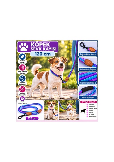 Ally Paws Köpek Sevk Kayışı Gezdirme Tasması 8mm X 120cm - Mor Mavi Çok Renkli