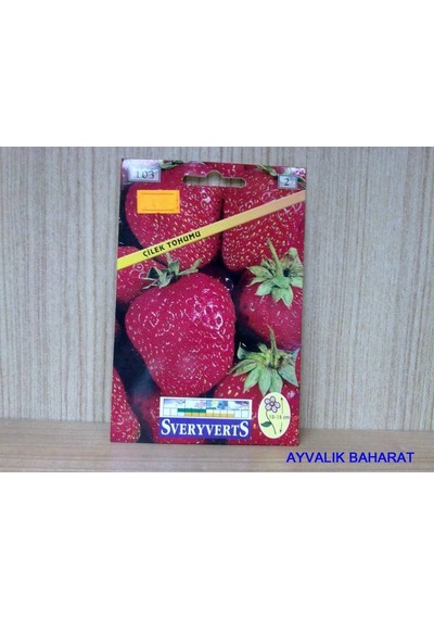 Çilek Tohumu Paket N11542