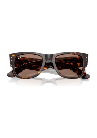 Ray-Ban Güneş Gözlüğü Rb0840s 51 902/1a Kahverengi