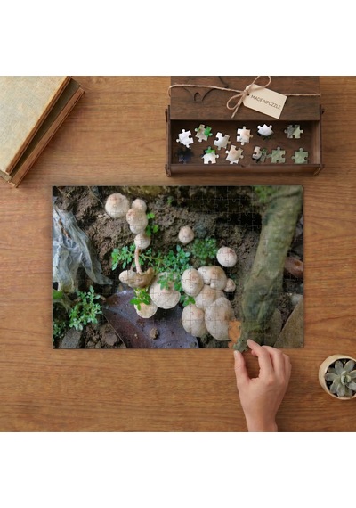 Yabani Mantarlar Tasarımı 240 Parça Ahşap Puzzle Ahşap Kutuda Mpy50192