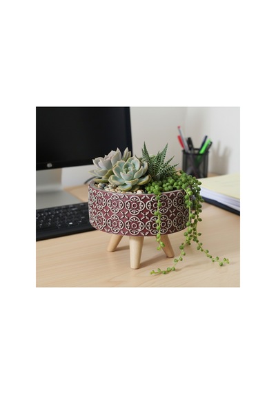 Beton Saksı Ayaklı Sukulent Bonzai Aranjman Teraryum Çiçek Saksısı Çap:18cm Ayak Demonte Kahverengi -bej