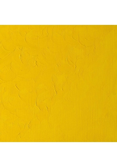 Winsor Newton Winton Yağlı Boya 200 ML - N:08 Cadmium Yellow Pale