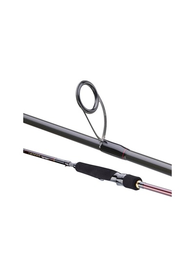 Daiwa Infeet Seabass 2.44m 7-28gr 2p Kamış