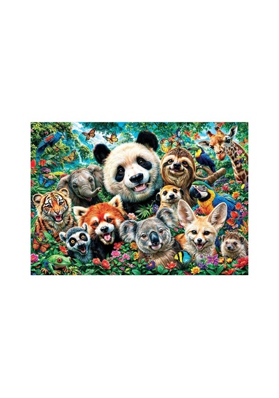 20109 Puzzle 500 Wild Harmony
