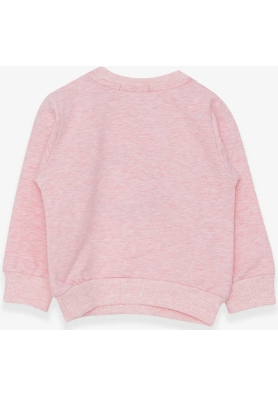 Breeze Kız Çocuk Sweatshirt Nakışlı Pullu 1-4 Yaş, Somon Melanj (553857985) Çok Renkli