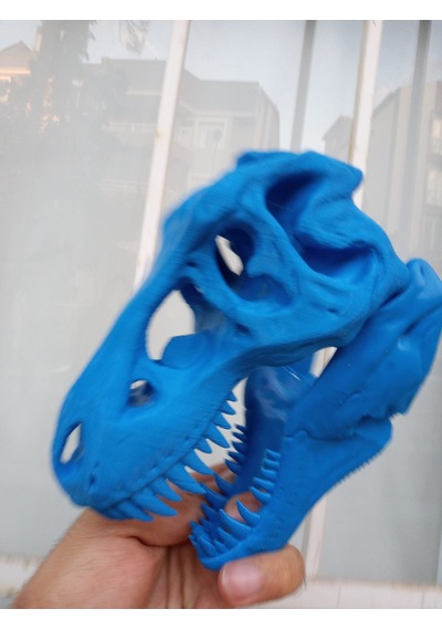 Trex İskelet Kuru Kafa Biblo Heykel
