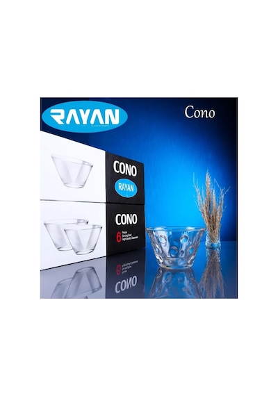 Jenerik Rayan Cono 6'lı Büyük Cam Kase Çok Renkli