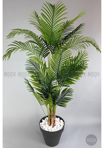 Biçiçek Yapay Areka Ağaci 220 Cm 4 Gövdeli̇ Antresi̇t Yali Saksıda