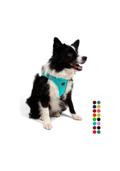 Tailpetz Air-mesh Küçük Ve Orta Irk Kedi Köpek Göğüs Tasması - Yumuşak, Nefes Alabilir, Dayanıklı , Xlarge Sku: Zeusb08vy6mk9b Açık Bej - Bej