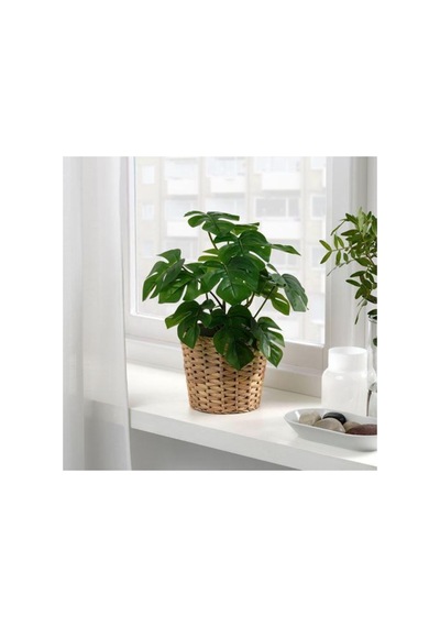 Fejka Yapay Bitki, Monstera - 178642435 Monstera
