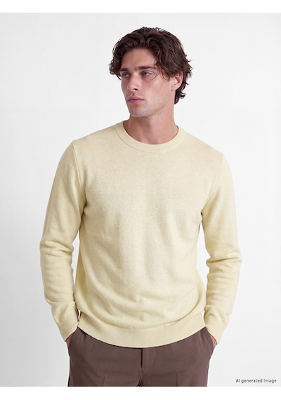 Lcw Vision Sarı Regular Fit Erkek Triko Kazak
