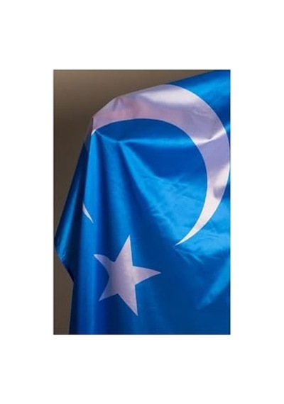 Bayrak Doğu Türkistan Milli Gönder Bayrağı Raşel Dijital Baskı 100x150 Diğer